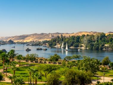 Schilderachtig uitzicht op de Nijl in Aswan met zeilboten, weelderige groene parken met palmbomen en zandige woestijnheuvels onder blauwe lucht.