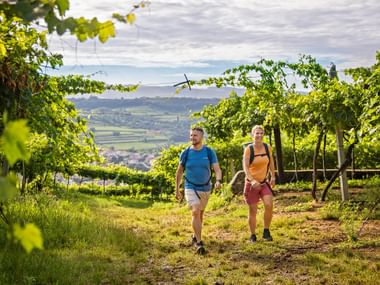 Twee wandelaars met rugzakken lopen door wijngaardrijen in Valpolicella, Veneto. Glooiende heuvels en bewolkte lucht op achtergrond.