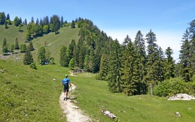 Wandelaar met blauwe rugzak op grindpad door groene alpenweiden op de Salzalpensteig, omringd door beboste heuvels.
