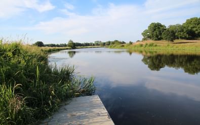 Kalme rivier de Vecht in Nederland met houten steiger op de voorgrond, groen riet langs de oevers en bomen onder blauwe lucht.
