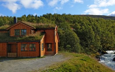 Traditionele Noorse houten hut met grasdak naast stromende rivier in Nationaal Park Jotunheimen, omgeven door dicht bos en heuvels.