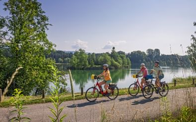 Drie fietsers rijden langs een verhard pad naast een kalm meer op de Rijnfietsroute, omringd door groene bomen onder een blauwe lucht.
