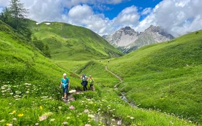 Drie wandelaars lopen op een bergpad door weelderige groene alpenweiden met wilde bloemen, omringd door glooiende heuvels en rotspieken.