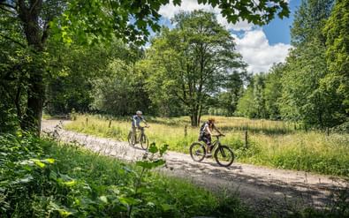 Twee fietsers rijden op een grindpad door het groene Eifel-landschap met dicht bos, weilanden en blauwe lucht met witte wolken.