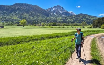Wandelaarster met rugzak en wandelstokken op onverharde weg door groene weiden met besneeuwde Alpentoppen op de achtergrond.