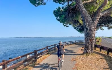 Vrouwelijke fietser op verharde kustweg langs Grado Lagune met houten reling, grote pijnboom en kalm blauw water onder heldere hemel.