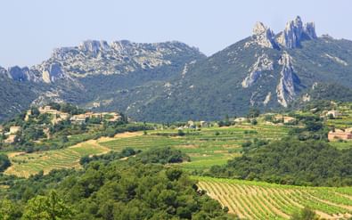 Panoramisch uitzicht op Dentelles de Montmirail met dramatische kalkstenen pieken, terrasvormige wijngaarden en verspreide huizen in Provence.