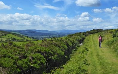 Vrouw in roze top wandelt op graspaadje van Wicklow Way met glooiende groene heuvels en dalzicht onder bewolkte blauwe lucht.