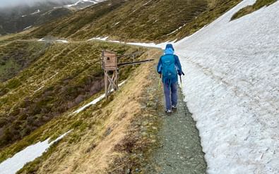 Wandelaar in blauwe jas op smal bergpad tussen sneeuwvelden in Hohe Tauern. Houten uitkijkplatform zichtbaar op helling.
