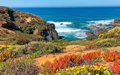 Kleurrijk kustlandschap langs het Rota Vicentina pad met rood en geel bloeiende planten, rotsachtige kliffen en blauwe Atlantische golven.
