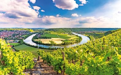 Panoramisch uitzicht op de Neckar-lus bij Mundelsheim met wijnstokken op de voorgrond en stad langs de rivier onder blauwe lucht.