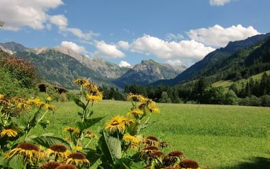 karinthie-oostenrijk-alpe-adria-trail karinthie-oostenrijk-alpe-adria-trail