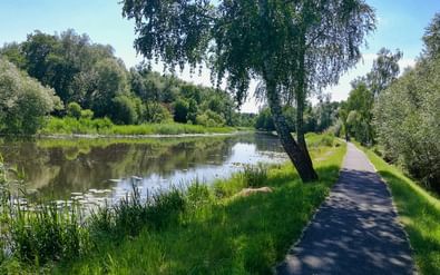 Geasfalteerd fietspad langs de Oder-Neisse fietsroute naast een rustige rivier met groene oevers, riet en loofbomen onder blauwe lucht.