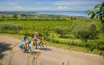 Twee fietsers op e-bikes rijden door wijngaarden bij Cavaion Veronese met panoramisch uitzicht op het Gardameer en omgeving.