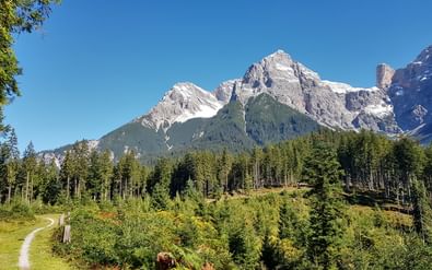 Panoramisch uitzicht op de Sommerstein met besneeuwde kalkstenen toppen boven dicht groen bos onder heldere blauwe hemel.