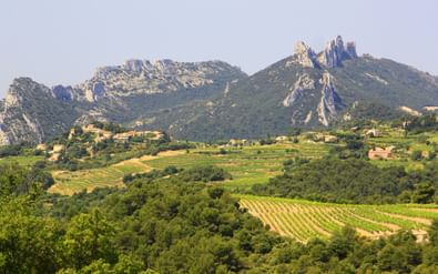 Panoramisch uitzicht op de rotsachtige toppen van Dentelles de Montmirail bij Vaison-la-Romaine met wijngaarden en groene valleien op de voorgrond.