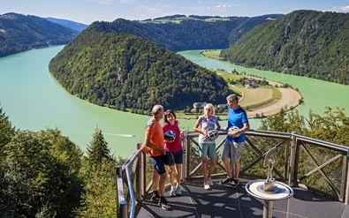 Vier fietsers op uitkijkplatform met uitzicht op de Schlögener Schlinge, een dramatische rivierbocht met beboste heuvels en turquoise Donauwater.
