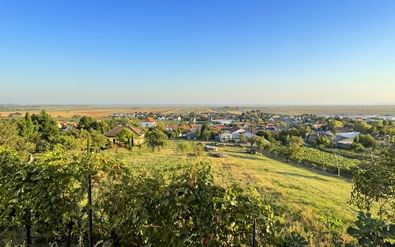 Verhoogd uitzicht op het dorp Rust met wijngaarden op de voorgrond en Neusiedlersee op de achtergrond onder heldere blauwe lucht.
