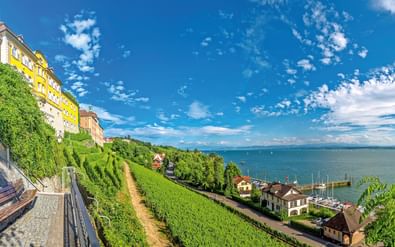 Terrasvormige wijngaarden op steile helling in Meersburg met uitzicht over Bodensee. Geel kasteelgebouw links, blauw meer en lucht op achtergrond.