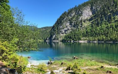 Kristalhelder turquoise Gosausee omringd door beboste bergen en rotsachtige kliffen onder een heldere blauwe hemel in de Alpen.
