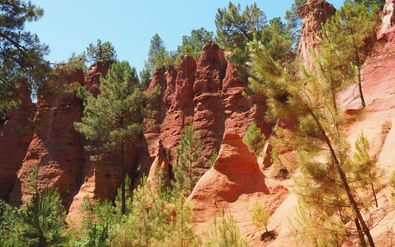 Dramatische rood-oranje okerrotsformaties in Luberon, Provence, Frankrijk, omringd door groene dennen onder blauwe hemel.