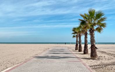 Geplaveide wandelweg naar het zandstrand van Sottomarina met palmbomen langs het pad. Blauwe lucht met witte wolken erboven.