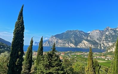 Panoramisch uitzicht op het Gardameer met bergtoppen, cipressen op de voorgrond en een dorp aan het meer onder een heldere blauwe lucht.