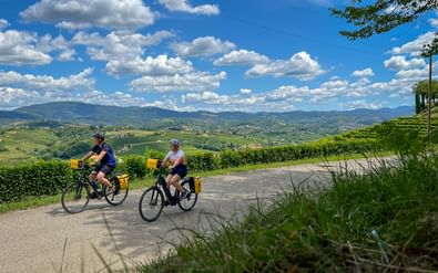 Twee fietsers met gele fietstassen op een verhard pad door Collio-wijngaarden in Friuli, met glooiende groene heuvels en blauwe lucht.