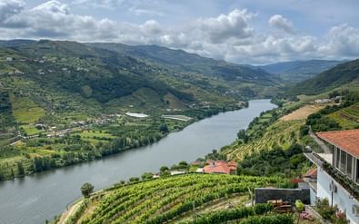 Panoramisch uitzicht op de Douro vallei bij Mesao Frio met terrasvormige wijngaarden op de hellingen en de rivier de Douro.