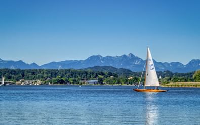 Witte zeilboot op het blauwe Chiemsee-meer bij Prien met beboste oever en Alpengebergte onder heldere hemel.