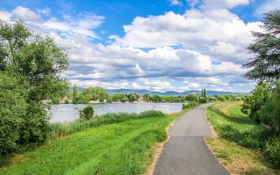Geasfalteerd fietspad loopt langs een meer met groene weiden, riet en bomen. Bergen zichtbaar in de verte onder bewolkte hemel.