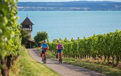 Twee fietsers rijden door wijngaarden bij Meersburg met het Bodenmeer en een historische toren op de achtergrond.