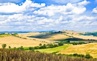 Panoramisch uitzicht op het Toscaanse platteland met gouden glooiende heuvels, rijen donkere cipressen en verspreide boerderijen.