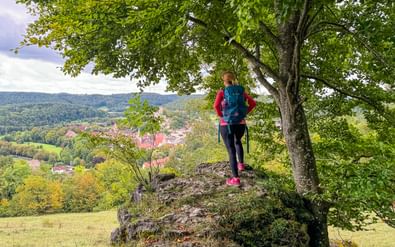 Wandelaar met rugzak op rotsuitstulping onder grote boom, uitkijkend over dorp Pappenheim in Altmühltal-vallei met groene heuvels.