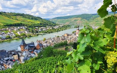 Panoramisch uitzicht op Zell aan de Moezel met wijngaard op voorgrond, historisch stadscentrum, kerktoren en groene heuvels.