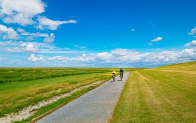 Twee fietsers rijden op een geasfalteerd pad door het groene Oost-Friese landschap onder een blauwe hemel met witte wolken.