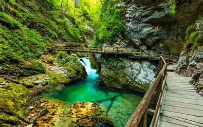 Houten loopbrug kronkelt door Vintgar kloof in Slovenië met smaragdgroene waterpoelen en met mos bedekte rotswanden.