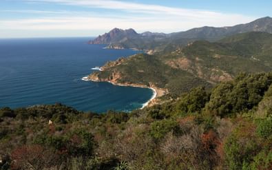 Panoramisch uitzicht op Golfe de Porto op Corsica met turquoise baai omringd door beboste bergen en rode kliffen onder blauwe hemel.