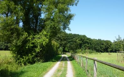 Landelijk zandpad door het Münsterland landschap met houten hek rechts, groene weilanden en dicht bos onder blauwe lucht.