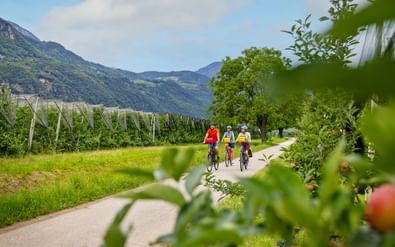 Drie fietsers op een verhard pad door appelboomgaarden met bergen op de achtergrond. Rijpe appels zichtbaar op de voorgrond.