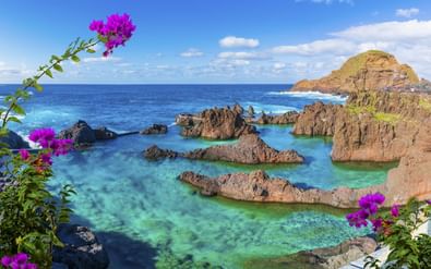Natuurlijke vulkanische rotspools met turquoise water in Porto Moniz, Madeira, omlijst door roze bougainvillea bloemen en oceaanzicht.