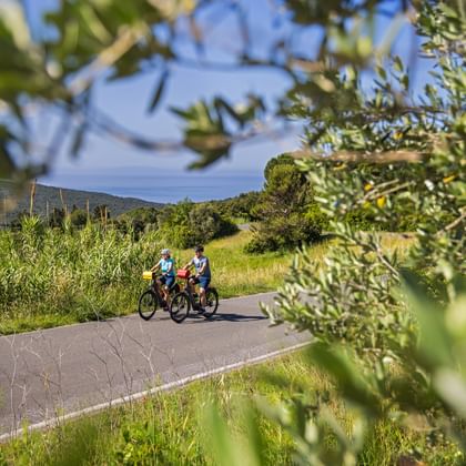Twee fietsers op geasfalteerd pad door groen landschap met olijfbomen. Uitzicht op Tyrreense kust en heuvels op de achtergrond onder blauwe lucht.