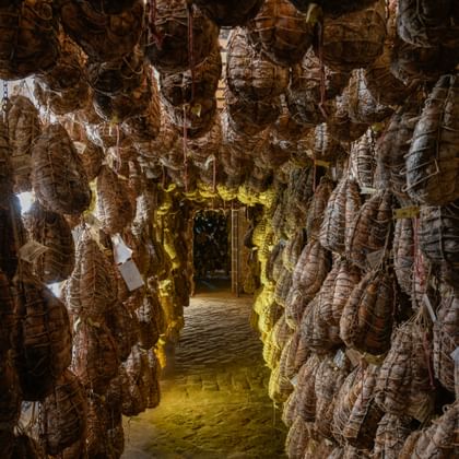 Rijen gedroogde salami en culatello hangen aan het plafond in een rijpingskelder met warme verlichting in het Museo del Culatello, Emilia.