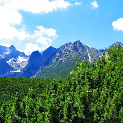 Wandelaar met rugzak lopend op stenen pad door groene bergdennen vegetatie met dramatische Hoge Tatra toppen en blauwe lucht op achtergrond.