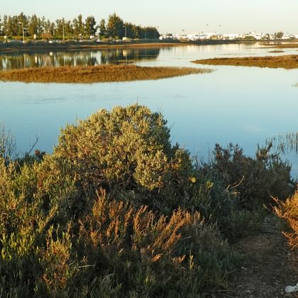 Salinen der Algarve Region