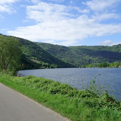 Moselle Cycle Path