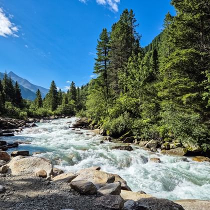 Snelstromende Krimmler Ache rivier met witte stroomversnellingen door rotsachtig terrein, omgeven door dicht groen bos en bergen.