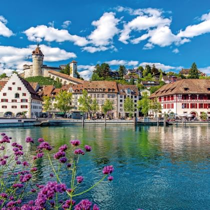 Uitzicht op de Rijnpromenade in Schaffhausen met historische gebouwen en Munot-vestingtoren. Paarse bloemen bloeien op de voorgrond langs de rivieroever.