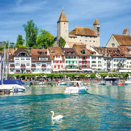 Witte zwaan zwemt in het Meer van Zürich met kleurrijke historische gebouwen en middeleeuwse kasteeltorens van Rapperswil op de achtergrond.