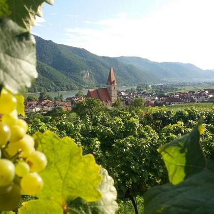 Wachau